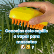 CEPILLO VAPOR